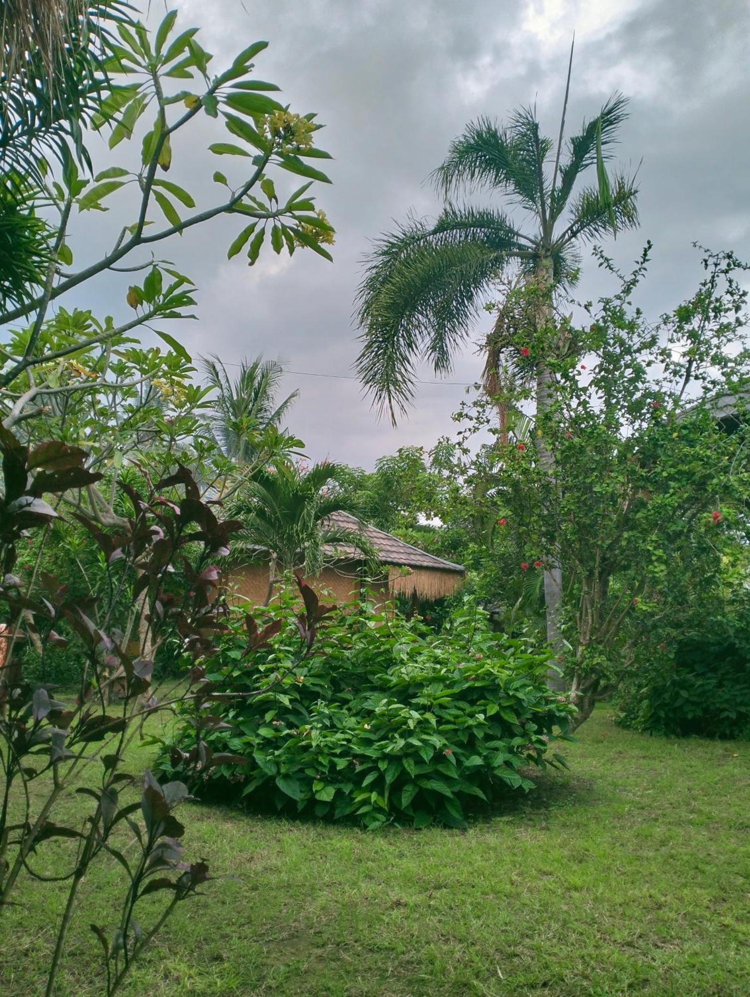 Tangga Bungalows גילי אייר חדר תמונה